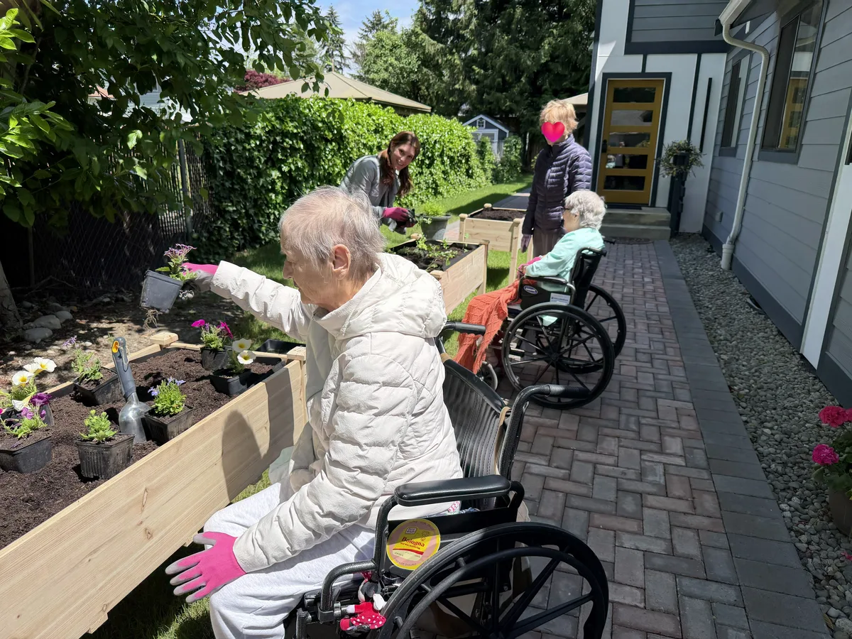 Our community garden growing