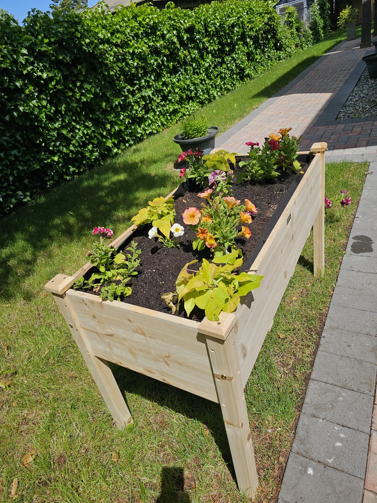 A beautiful day in the garden
