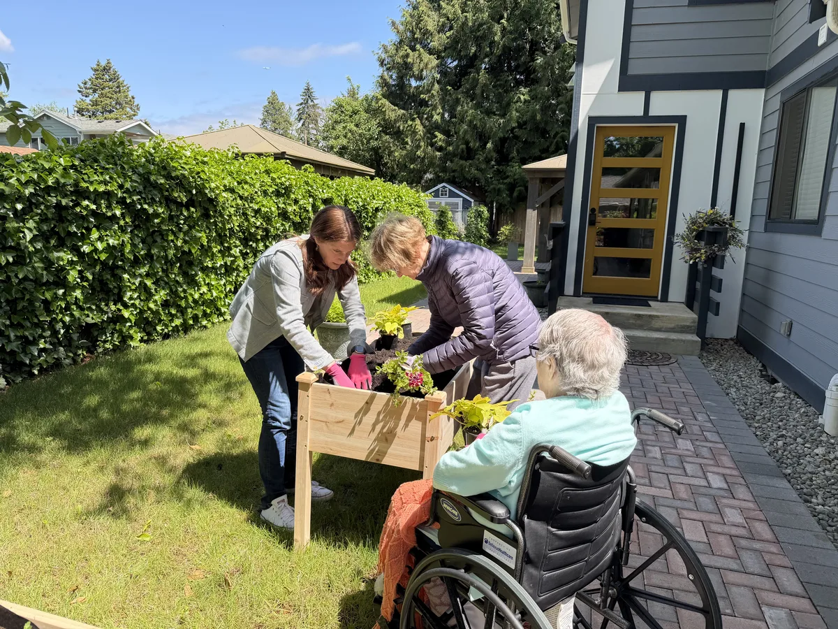 Planting flowers and herbs